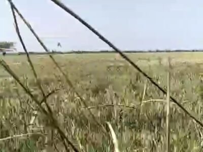 8 Bigha Agriculture Land on NH -58 Near Village Dadri, Sakoti, Meerut