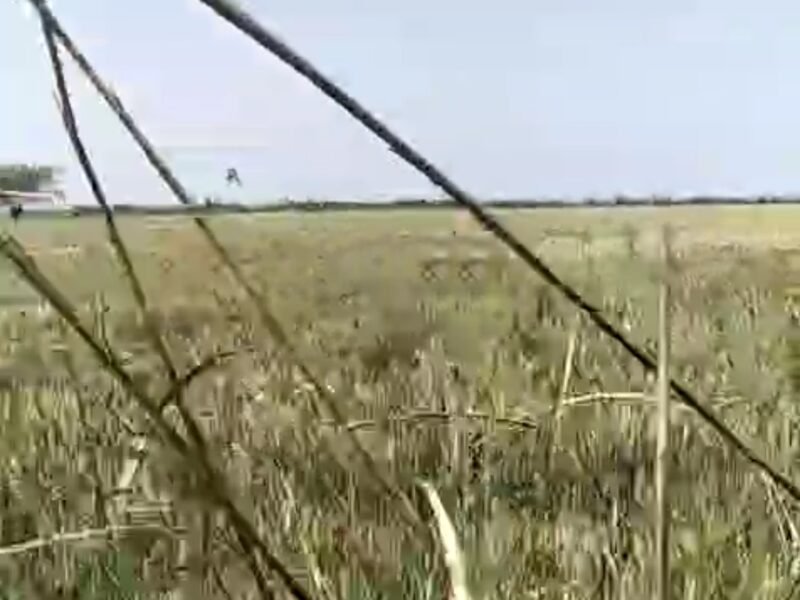 8 Bigha Agriculture Land on NH -58 Near Village Dadri, Sakoti, Meerut
