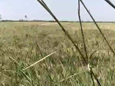 Land Near Old NH - 58, Bhangey Bhangala, Khatauli, Muzaffar Nagar