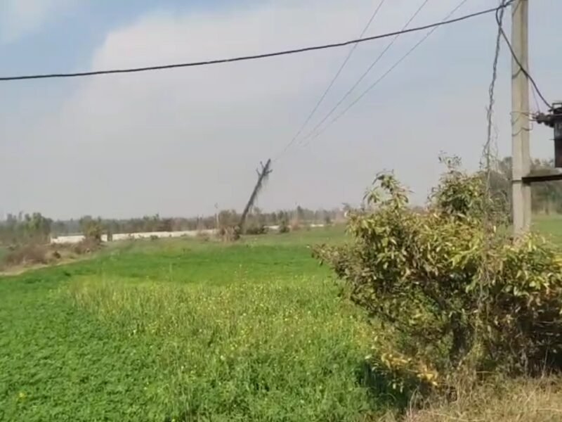 55 Bigha Agriculture Land near Upper Ganga Canal and Near Sports University Salawa
