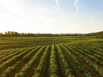 🚜 Agricultural Land (कृषि भूमि)