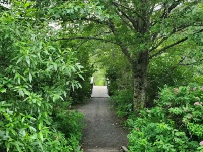 🌳 Gardens and Farmhouses (बाग-बगिचे और फार्महाउस)