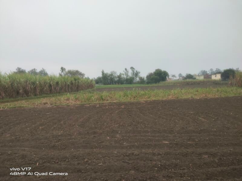 18 Bigha Agricultural / Industrial Land for sale at Bhangela near Khatauli, Muzaffarnagar