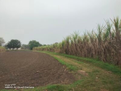 18 Bigha Agricultural / Industrial Land for sale at Bhangela near Khatauli, Muzaffarnagar
