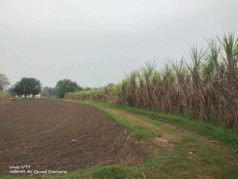 18 Bigha Agricultural / Industrial Land for sale at Bhangela near Khatauli, Muzaffarnagar