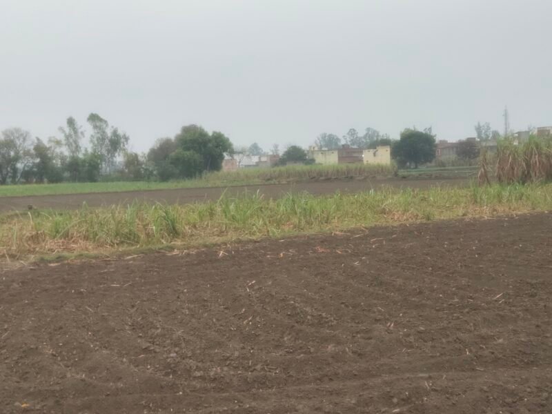 18 Bigha Agricultural / Industrial Land for sale at Bhangela near Khatauli, Muzaffarnagar
