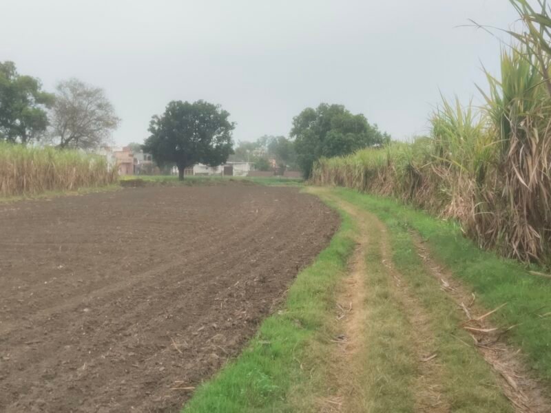 18 Bigha Agricultural / Industrial Land for sale at Bhangela near Khatauli, Muzaffarnagar