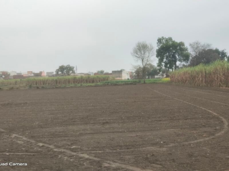 18 Bigha Agricultural / Industrial Land for sale at Bhangela near Khatauli, Muzaffarnagar